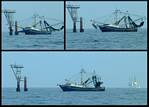 (19) montage (shrimper).jpg    (1000x720)    251 KB                              click to see enlarged picture